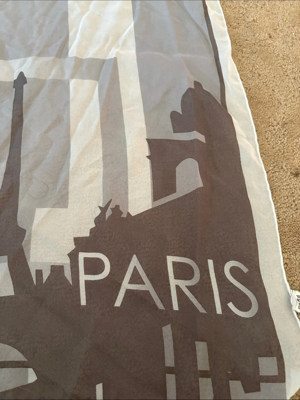 Rare Chanel Silk Travel Scarf